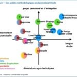 Conseil Stratégique aux agriculteurs