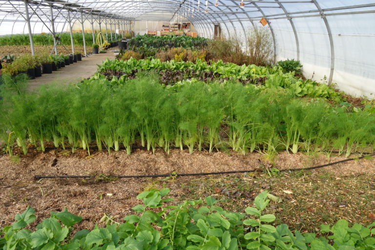 De retour bientôt — mais pas encore